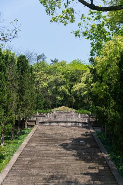 Vertical shot of a pathway in a park