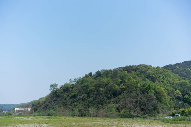 istock Natural landscape of forested hills and fields 1446183929