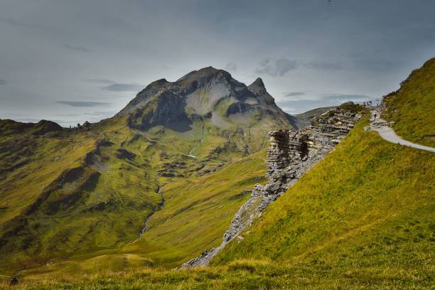 istock Beautiful landscape with green mountains. Switzerland. 1446185212