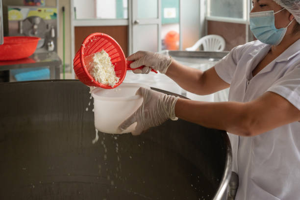 operaio che raccoglie formaggio fresco da un serbatoio in una fabbrica - il formaggio di coltivatore foto e immagini stock