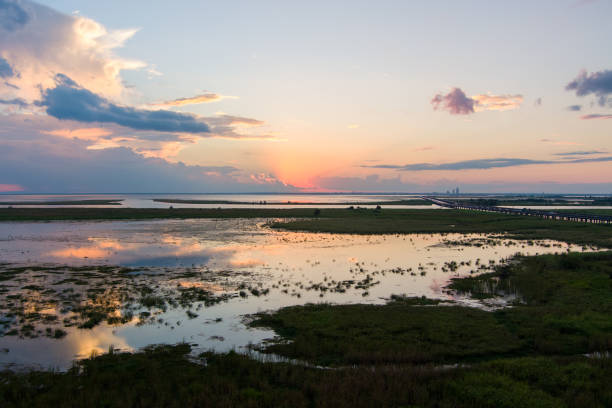 istock Aerial view of Mobile Bay at sunset 1446186028