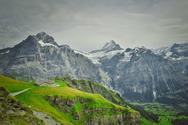 istock Beautiful mountainous landscape under a cloudy sky in Switzerland 1446186324