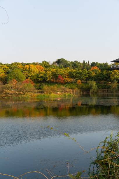 istock Autumn-colored surrounding and its reflection on the Kunming lake surface, with a summer house 1446186436