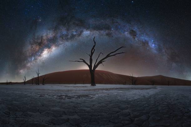 istock Sky with milky way over hills and dead trees in dry ground 1446187083