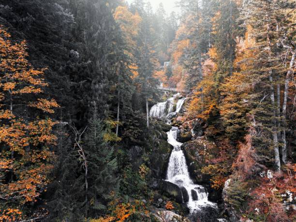 긴 노출 효과가있는 triberg 폭포의 낮은 각도, 가을 풀과 주변의 나무 - black forest waterfall triberg landscape 뉴스 사진 이미지