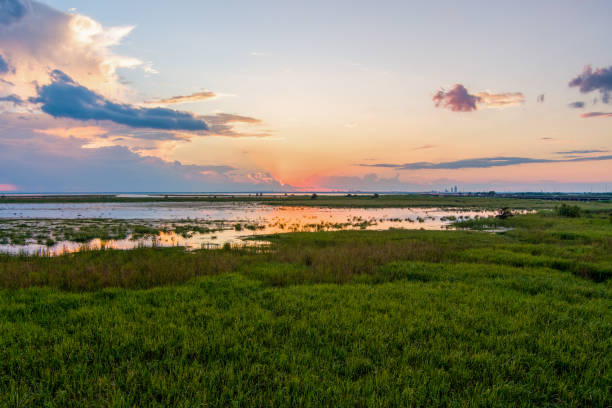 istock Aerial view of Mobile Bay at sunset 1446187439