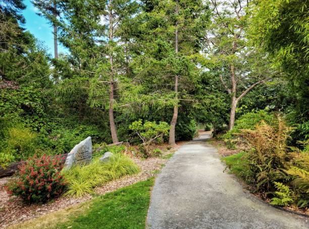 istock Garden surrounded by trees and colorful flowers 1446187850