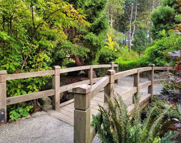 istock Small wooden bridge in the garden surrounded by trees 1446187859