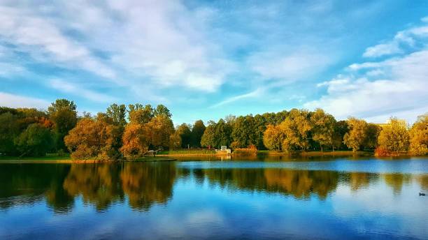 istock Calm lake with reflection of trees in the water 1446187965