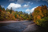 istock Scenic view of a streaming river surrounded by autumn trees in Clausthal-Zellerfeld, Germany 1446187976