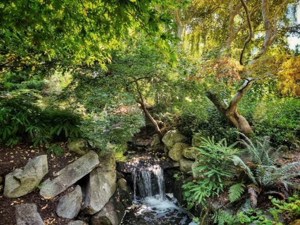 istock Beautiful landscape of a small river in the forest 1446188056