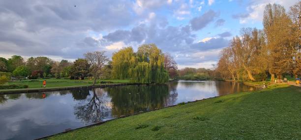 istock Scenic lake with reflections on a summer day 1446188297