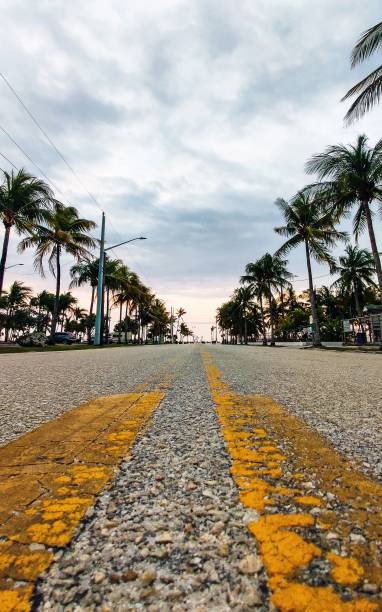 Vertical of a road with yellow marks surrounded by palm trees