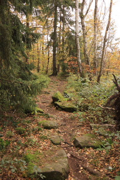 istock Autumn in Saxon Switzerland 1446195839