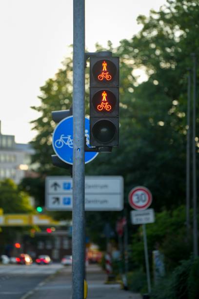 istock Double red traffic lights for controlling bicycle traffic 1446195893