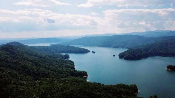istock Scenic view of a wide river flowing through dense forest mountains under the cloudy sky 1446196952
