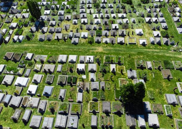 istock aerial view of a cemetery 1446197038