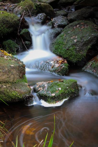 istock Vertical shot of a small waterfall cascading down the mossy rocks into a pond 1446197439