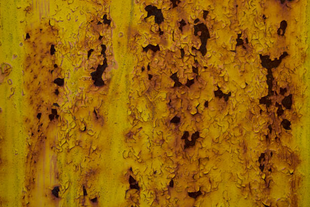 ferrugem mostrando através de tinta metálica. - rust fungus sign rust rusty - fotografias e filmes do acervo