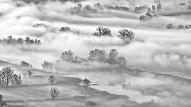 istock Misty morning in the wetlands 1446203669