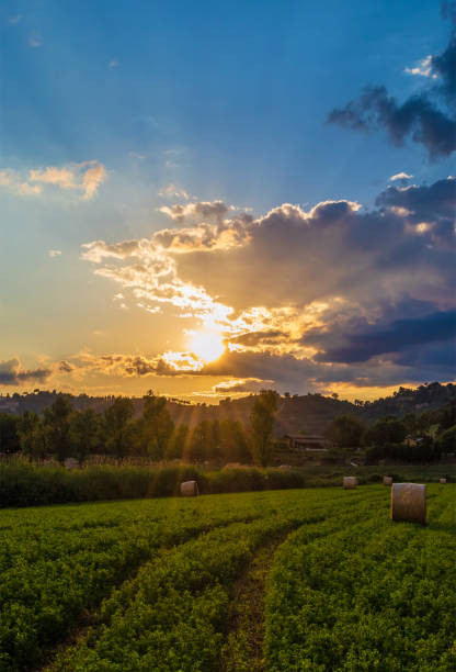 istock Natural reserve Tevere Farfa (Nazzano, Italy) 1446204688
