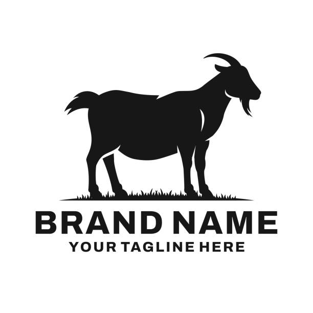wektor logo farmy kóz. logo hodowli bydła - domestic cattle stock illustrations