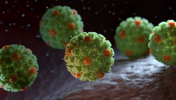 Papilloma Virus. HPV Human papillomavirus (HPV) is a DNA virus from the papillomavirus family. 3D illustration sti stock pictures, royalty-free photos & images