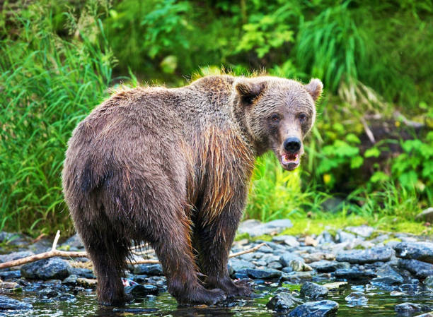 istock Beautiful Homer,Alaska pictures 1446213865