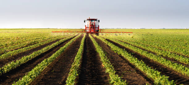 istock Tractor spraying soybean crops field 1446215361