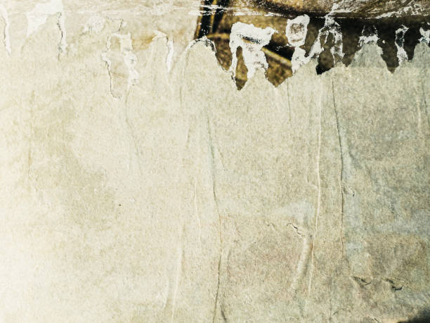 istock Vintage shabby paper texture and background 1446215685