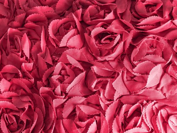 Textile with roses in color of 2023 year Viva Magenta stock photo