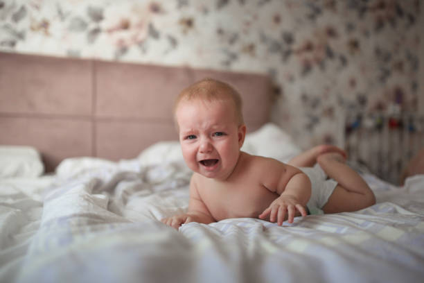 charming baby, 6 months old, crying,on his stomach charming baby, 6 months old, lies crying on his stomach on a bed in a bright, real interior, a childhood end, and teeth are cut, colic of newborns. half dozen babies stock pictures, royalty-free photos & images