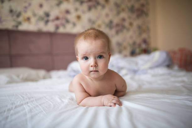 baby of 6 months is lying on bed in bright real charming baby of 6 months is lying on his stomach on a bed in a bright real interior, with the end of childhood and healthy development half dozen babies stock pictures, royalty-free photos & images