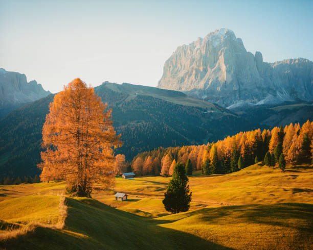 istock Scenic view of Dolomites in autumn 1446226640