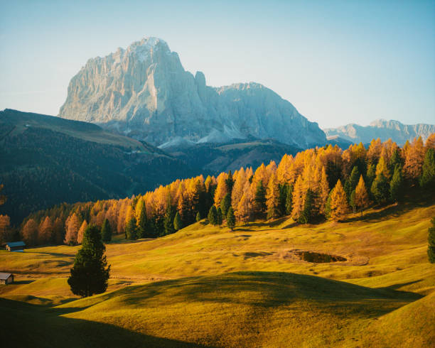 istock Scenic view of Dolomites in autumn 1446226699