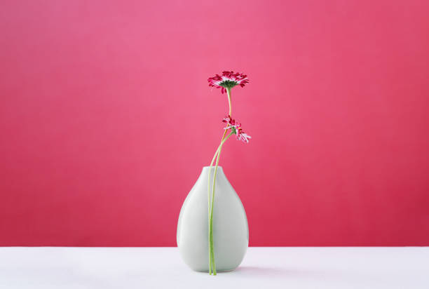 istock Two daisy spring flower near a tiny gren glass vase on magenta red 1446232047