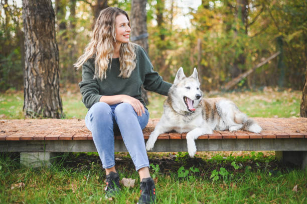 belle femme marchant avec un chien - cottage autumn wood woods photos et images de collection