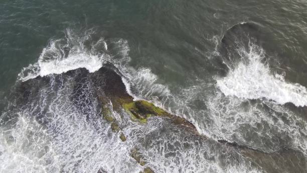 istock Sea Ocean Waves Aerial View 1446238302