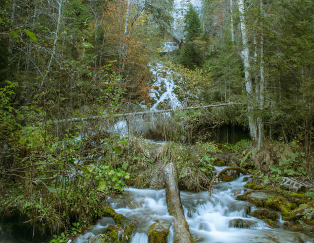 istock Autumn waterfall in the forest 1446238447