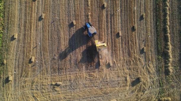 istock Harvest time agriculture Aerial Drone 1446238483