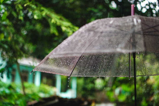 istock Umbrella wet by rainwater 1446238643