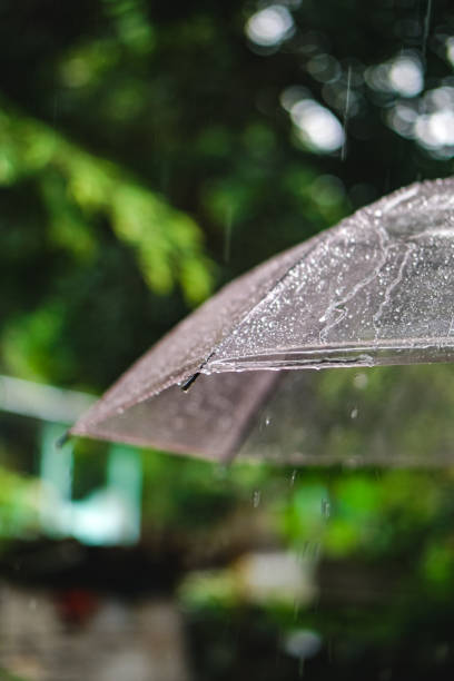 istock Umbrella wet by rainwater 1446238648