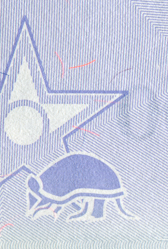 Armadillo Silhouette Pattern Design on Venezuelan Bolivar Currency