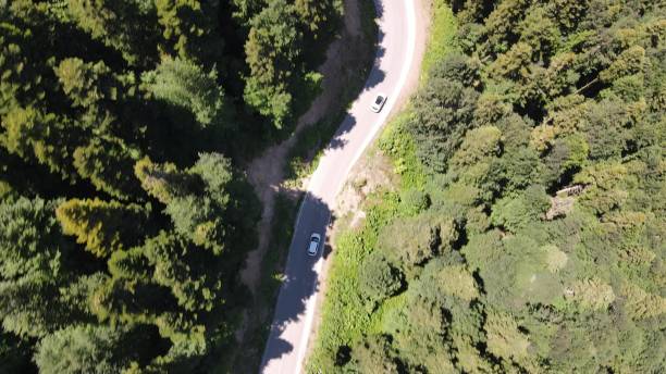 istock Aerial View Driving Car Forest 1446238855