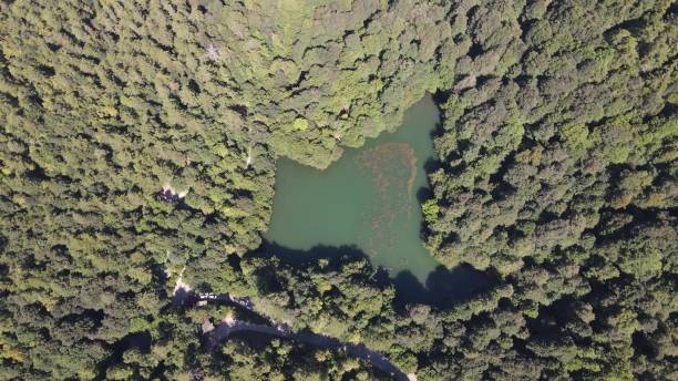 istock Aerial Drone Natural Lake Forest 1446238900