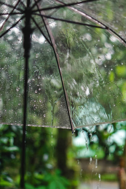 istock Umbrella wet by rainwater 1446239132