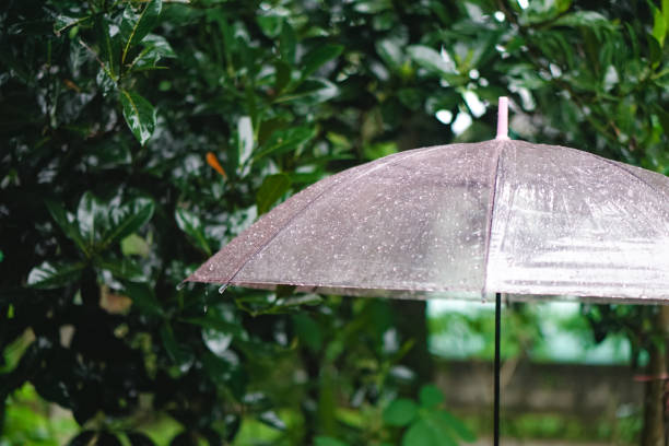 istock Umbrella wet by rainwater 1446239225
