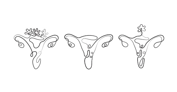 Drawing of Woman uterus in Line art style. Illustration of Woman Pregnancy. Happy Mother Day Minimalist Abstract Illustration for Card, Banner, Poster, Logo Design. Maternity concept