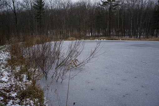 Frozen pond in the winter at Steege Hill Nature Preserve in New York