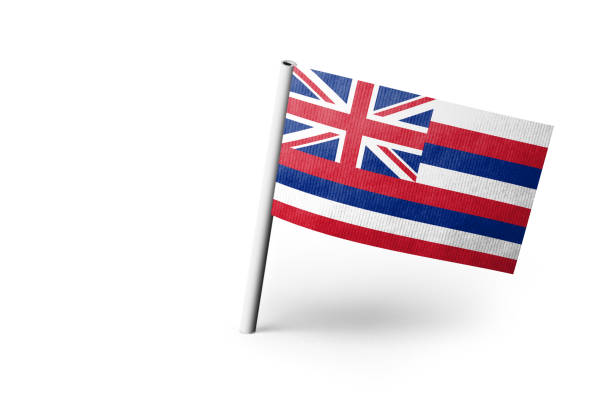 Small paper flag of Hawaii pinned. Isolated on white background. Horizontal orientation. Close up photography. Copy space.